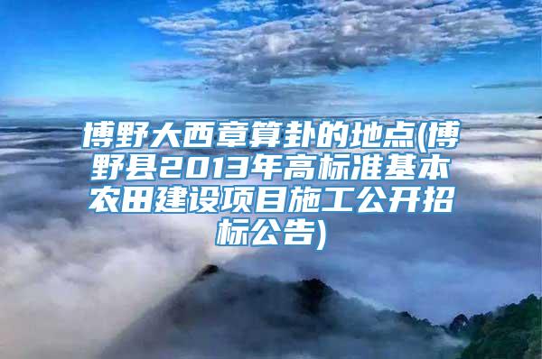 博野大西章算卦的地点(博野县2013年高标准基本农田建设项目施工公开招标公告)