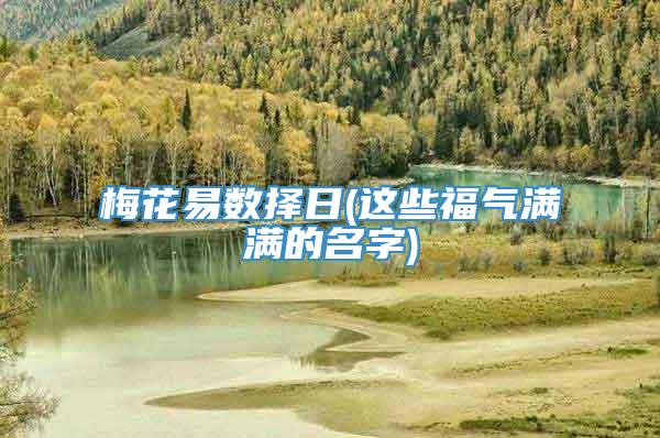 梅花易数择日(这些福气满满的名字)