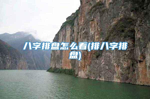 八字排盘怎么看(排八字排盘)