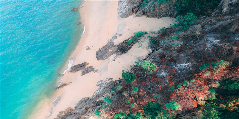 厂名字怎样取(厂名怎么取好)