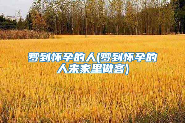 梦到怀孕的人(梦到怀孕的人来家里做客)