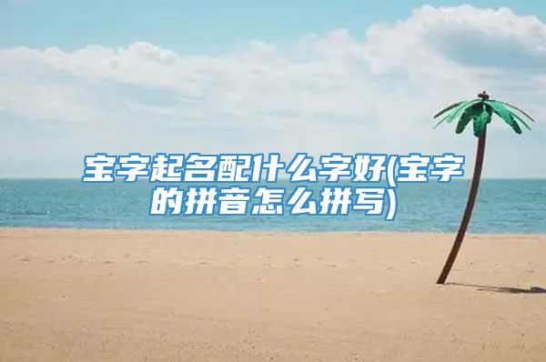 宝字起名配什么字好(宝字的拼音怎么拼写)