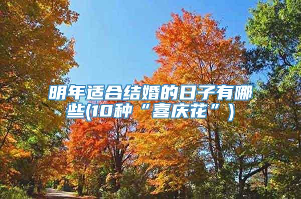 明年适合结婚的日子有哪些(10种“喜庆花”)