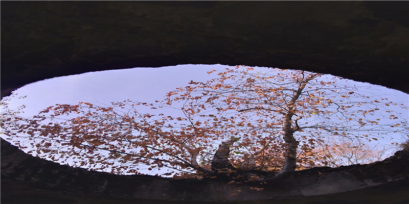 这又是什么征兆啊？大规模老鹰在南京上空盘旋，居民：真是少见啊