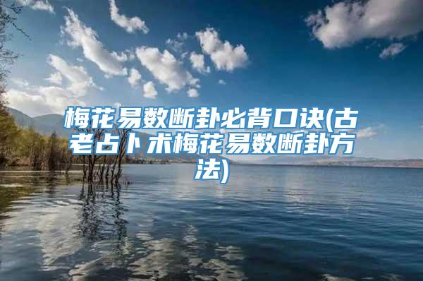 梅花易数断卦必背口诀(古老占卜术梅花易数断卦方法)