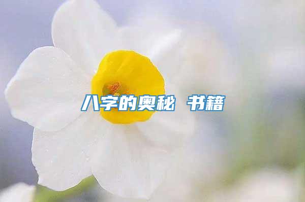 八字的奥秘 书籍