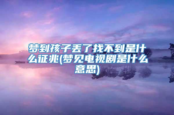 梦到孩子丢了找不到是什么征兆(梦见电视剧是什么意思)