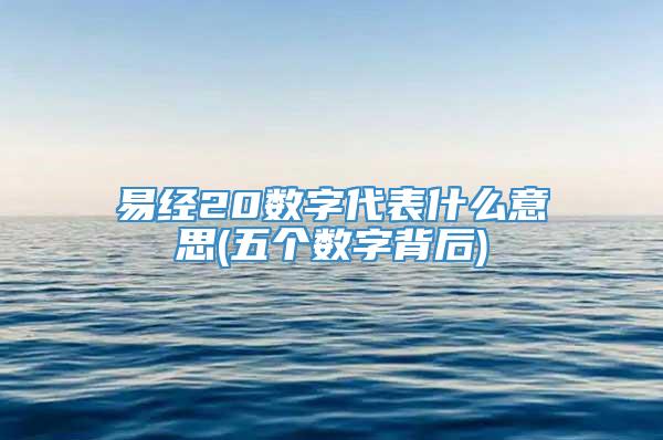 易经20数字代表什么意思(五个数字背后)