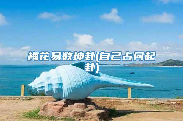 梅花易数坤卦(自己占问起卦)