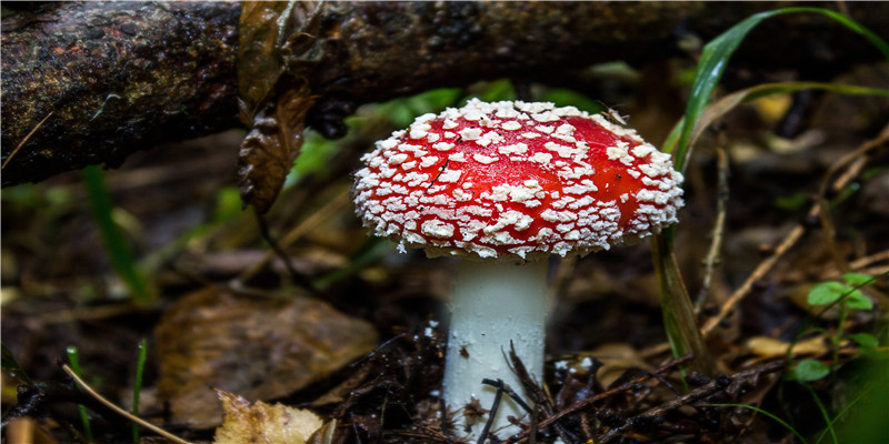 娱乐圈中年女星有多厉害！这几位身世坎坷却越老越红！你知道吗