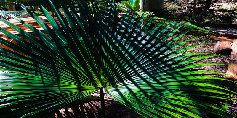 28岁今年多大哪年出生(90后男星“早婚早恋”)