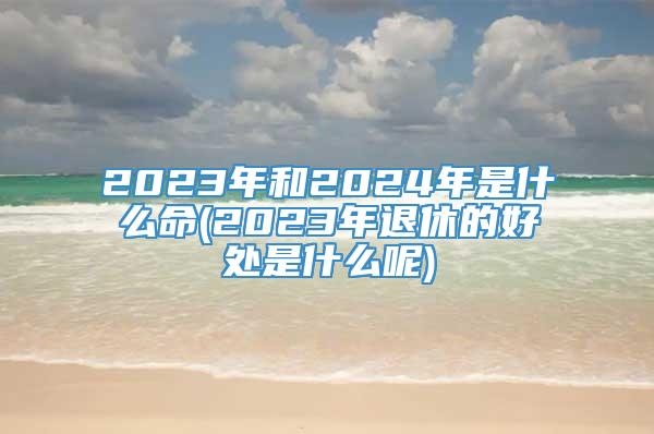 2023年和2024年是什么命(2023年退休的好处是什么呢)
