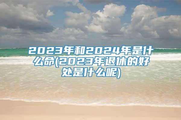 2023年和2024年是什么命(2023年退休的好处是什么呢)