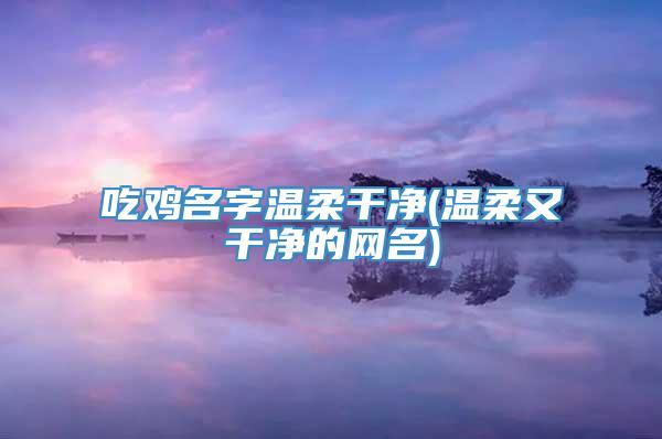 吃鸡名字温柔干净(温柔又干净的网名)