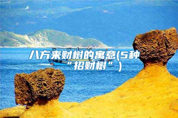 八方来财树的寓意(5种“招财树”)