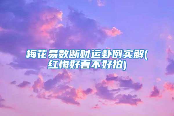 梅花易数断财运卦例实解(红梅好看不好拍)