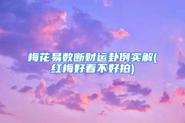 梅花易数断财运卦例实解(红梅好看不好拍)