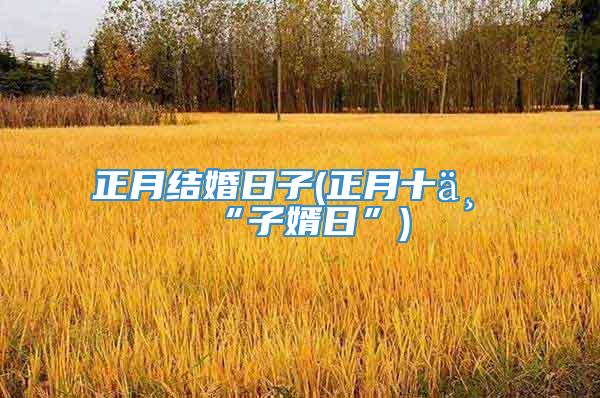 正月结婚日子(正月十一“子婿日”)