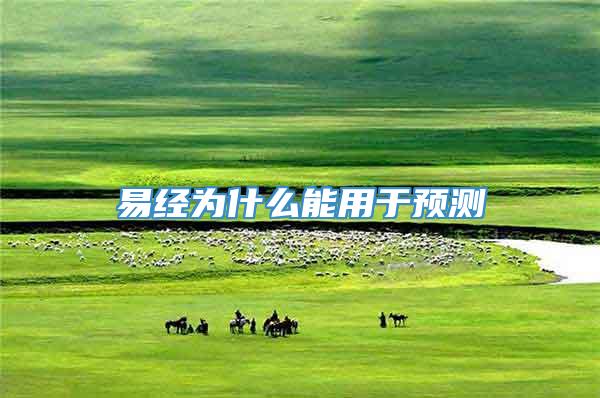 易经为什么能用于预测