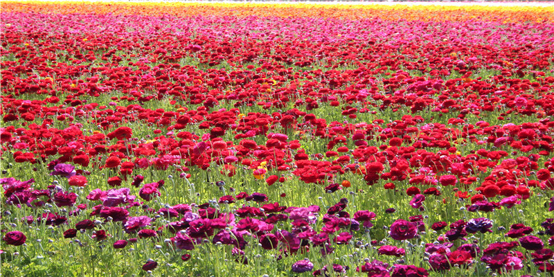 3月16日出生的人命运(通宵辗转4个“战场”)