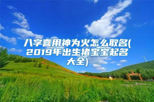 八字喜用神为火怎么取名(2019年出生猪宝宝起名大全)