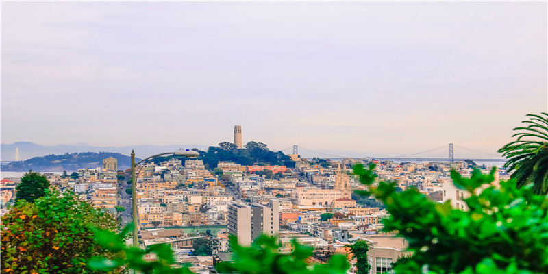 别出心裁什么意思(别出心裁造句)