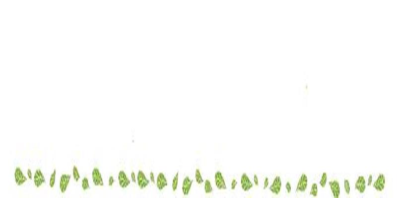 八字怎么占田字格(田字格里写汉字和数字)