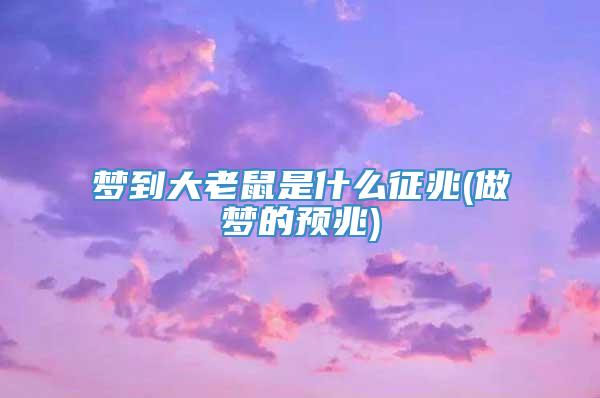 梦到大老鼠是什么征兆(做梦的预兆)