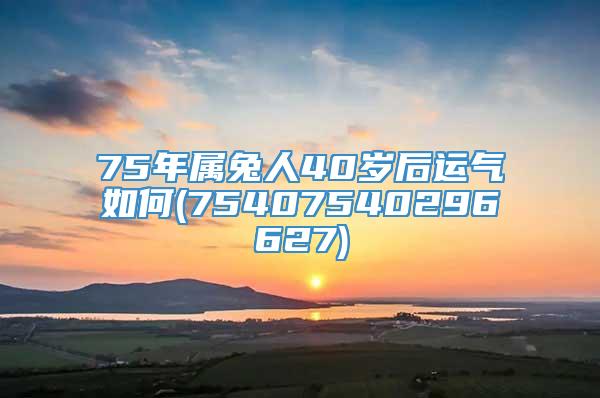 75年属兔人40岁后运气如何(75407540296627)