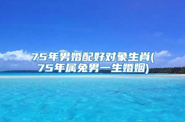 75年男婚配好对象生肖(75年属兔男一生婚姻)