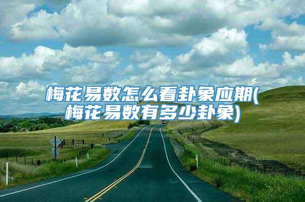 梅花易数怎么看卦象应期(梅花易数有多少卦象)