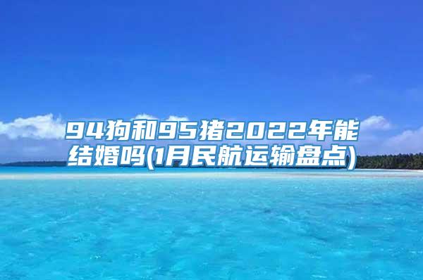 94狗和95猪2022年能结婚吗(1月民航运输盘点)