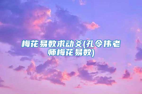 梅花易数求动爻(孔令伟老师梅花易数)
