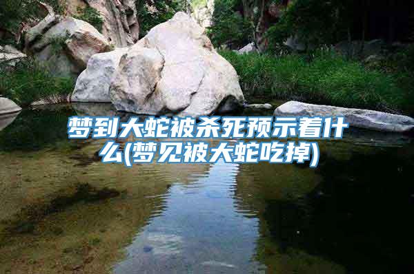 梦到大蛇被杀死预示着什么(梦见被大蛇吃掉)