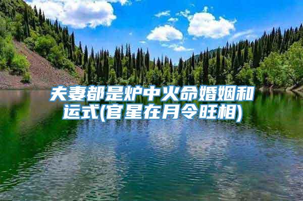 夫妻都是炉中火命婚姻和运式(官星在月令旺相)