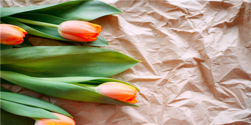 76年多大了今年多大了(1976年的多大)