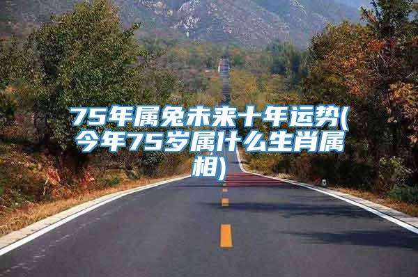 75年属兔未来十年运势(今年75岁属什么生肖属相)