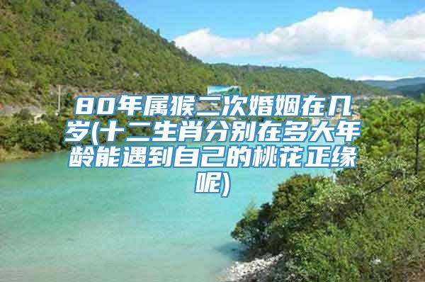 80年属猴二次婚姻在几岁(十二生肖分别在多大年龄能遇到自己的桃花正缘呢)