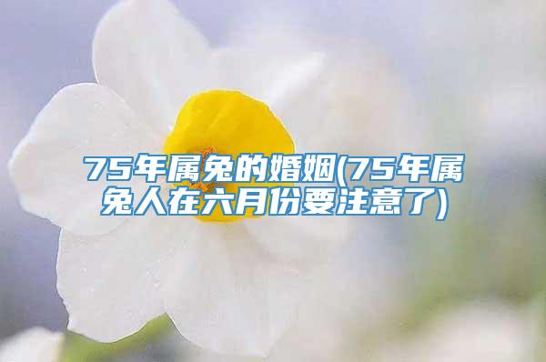 75年属兔的婚姻(75年属兔人在六月份要注意了)