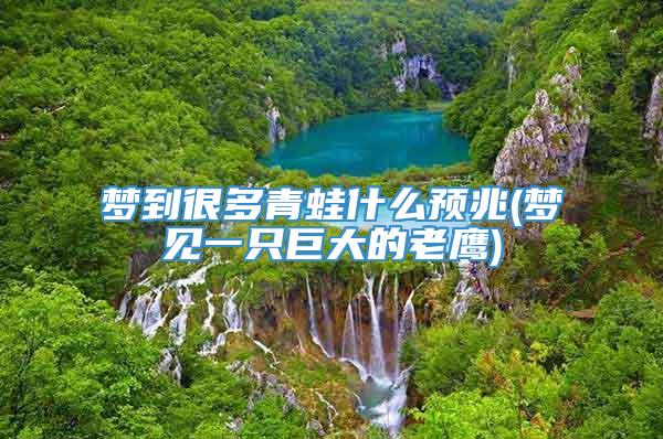 梦到很多青蛙什么预兆(梦见一只巨大的老鹰)