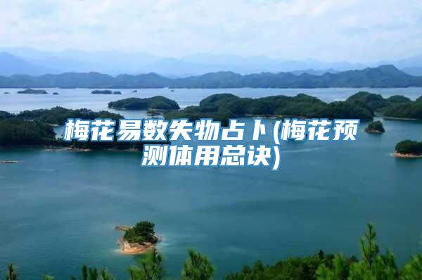 梅花易数失物占卜(梅花预测体用总诀)