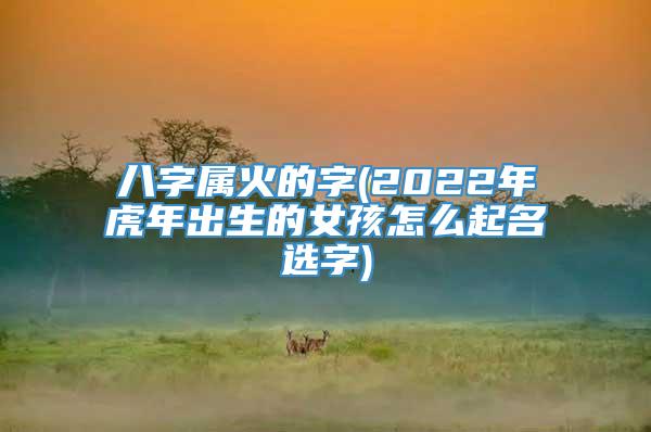 八字属火的字(2022年虎年出生的女孩怎么起名选字)