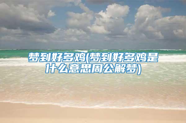 梦到好多鸡(梦到好多鸡是什么意思周公解梦)