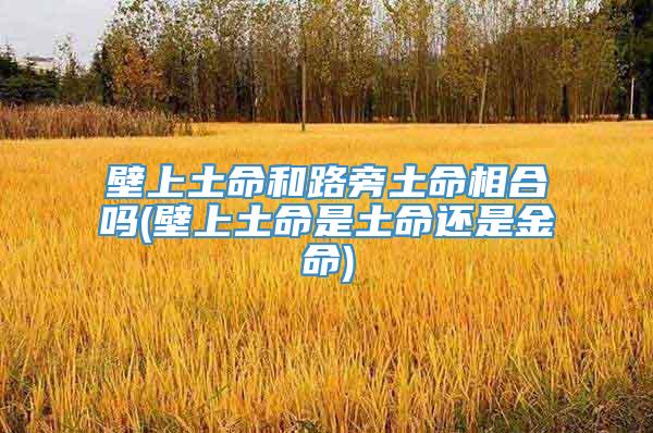 壁上土命和路旁土命相合吗(壁上土命是土命还是金命)