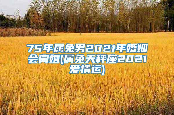 75年属兔男2021年婚姻会离婚(属兔天秤座2021爱情运)