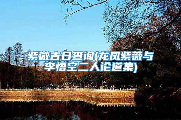 紫微吉日查询(龙凤紫薇与李悟空二人论道集)