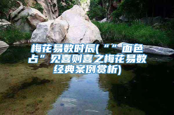 梅花易数时辰(“”面色占”见喜则喜之梅花易数经典案例赏析)