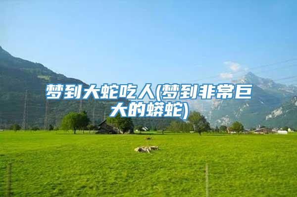 梦到大蛇吃人(梦到非常巨大的蟒蛇)