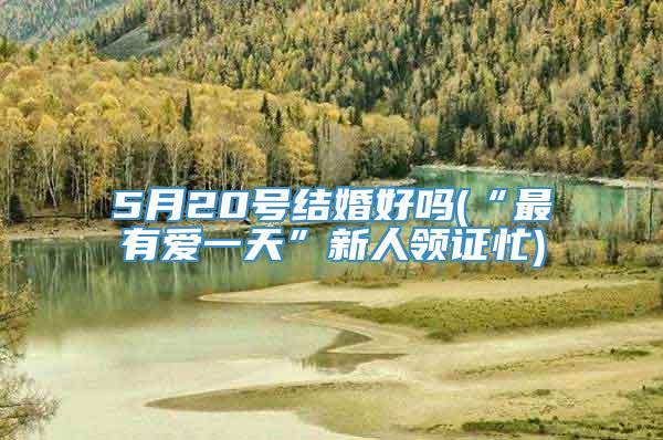 5月20号结婚好吗(“最有爱一天”新人领证忙)
