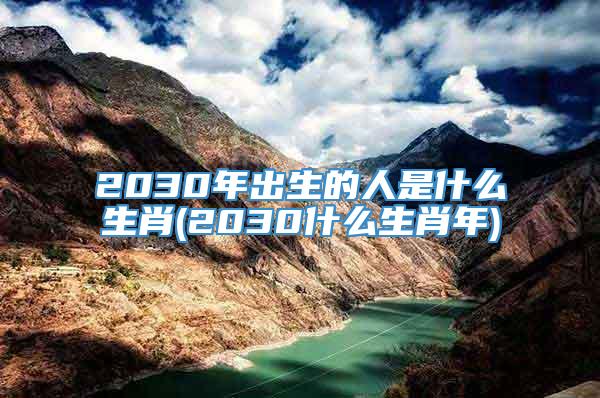 2030年出生的人是什么生肖(2030什么生肖年)